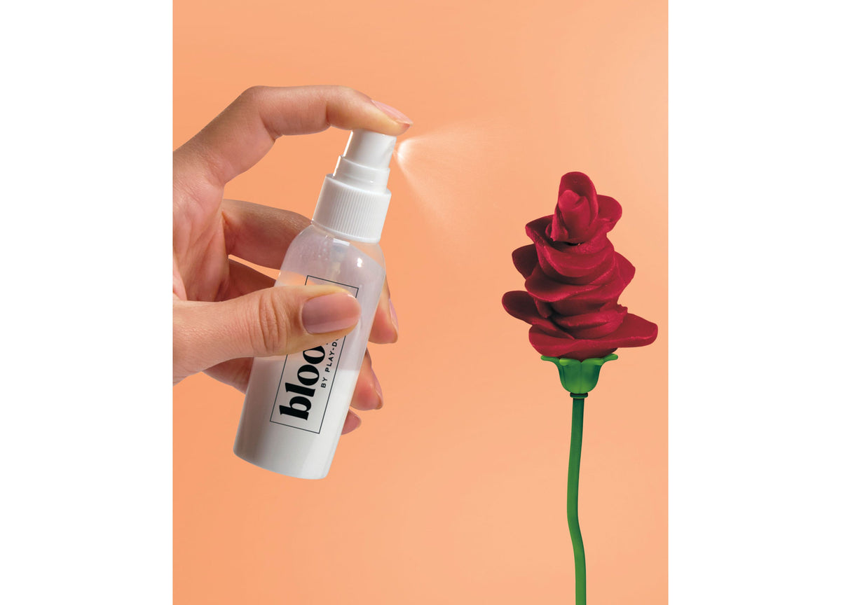 Play-Doh Blooms Rosy Petite Bouquet Kit with red flower and spray bottle