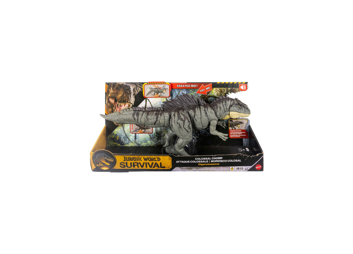 Jurassic World Colossal Chomp Giganotosaurus action figure in gray with yellow accents, shown in packaging