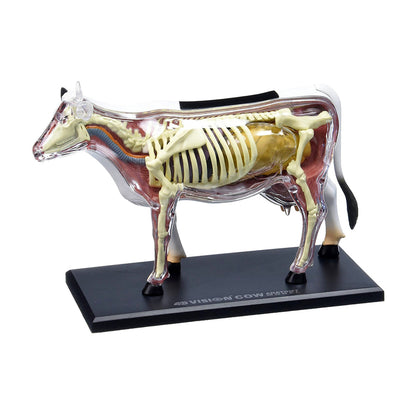4D Master Cow Anatomy Model - Educational Science Toy