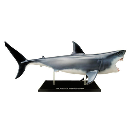 4D Master Great White Shark Anatomy Model Kit