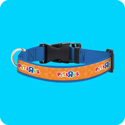 Orange and blue pet collar
