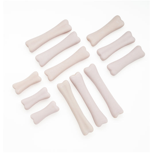 Dinosaur Bones Discovery Set with cream-colored fossil replicas for sensory excavation play