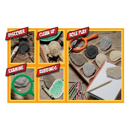 Play and Explore Fossils STEM Discovery Set with 8 realistic specimens, tools, and activity guide
