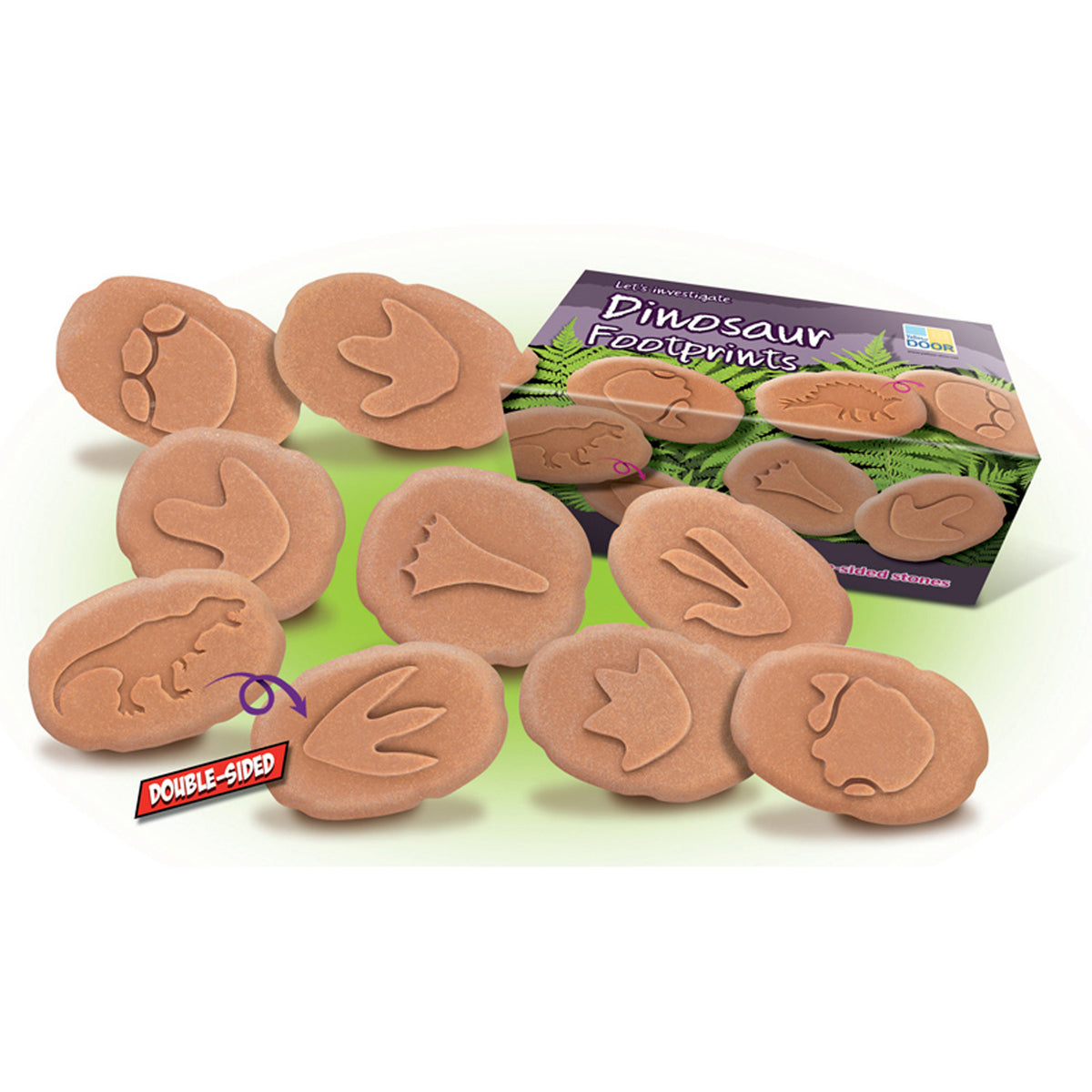 Dinosaur Footprint Fossils Discovery Set with 8 double-sided tan fossil stamps and storage box