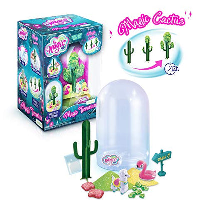 So Magic DIY Magic Desert Terrarium Kit – Large