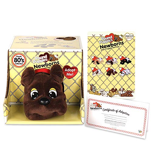 Pound Puppies Newborns dark brown plush with large eyes in packaging, includes adoption certificate and character lineup card