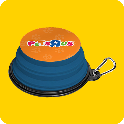 Orange and blue pets r us collapsible bowl