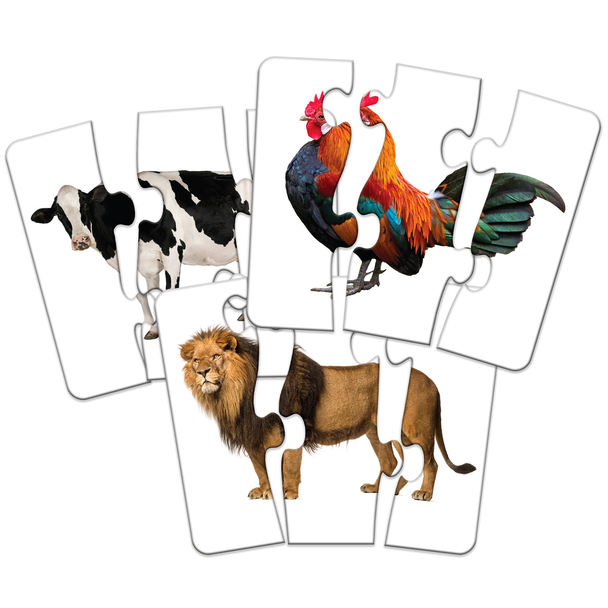 Match It Head to Tail Animal Puzzle Cards showing cow, roosters, and lion puzzle pieces