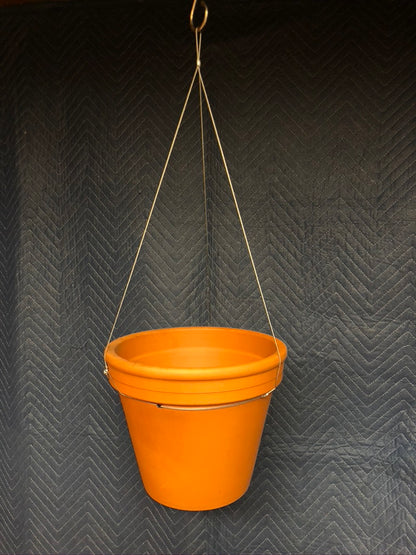 Invisa-Hanger 2-pack: Magical Suspended Plant Display