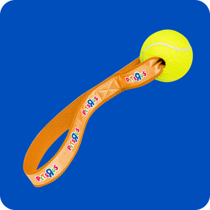 tennis ball on orange sling pet toy