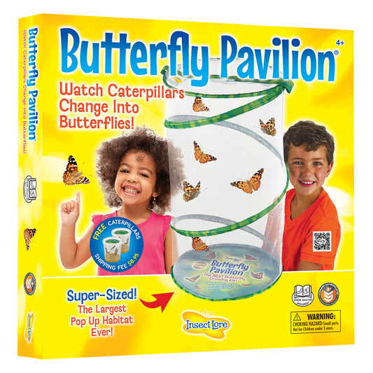 Butterfly Pavilion super-sized pop-up habitat kit with live caterpillars and butterflies