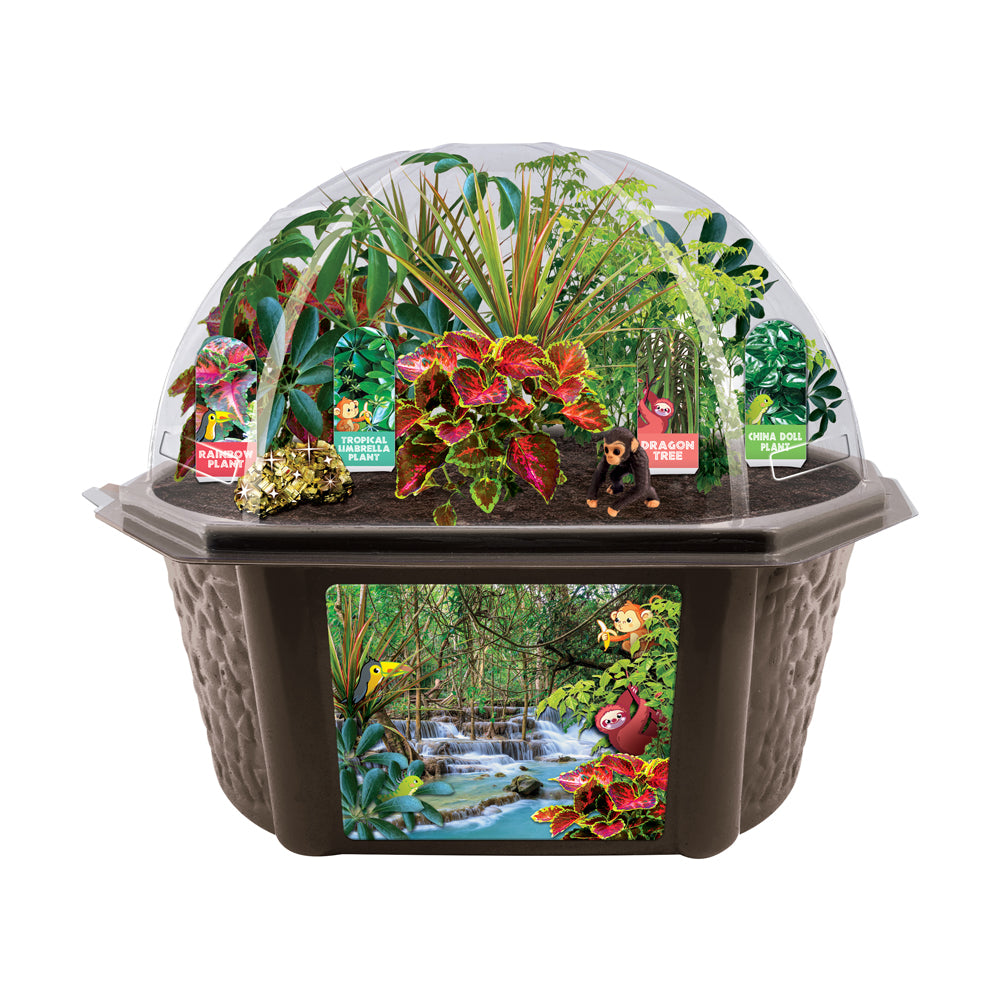 Tropical Rainforest Biosphere Terrarium Kit with clear dome top containing live plants, labeled plant markers, and jungle scene window showing waterfall and ani