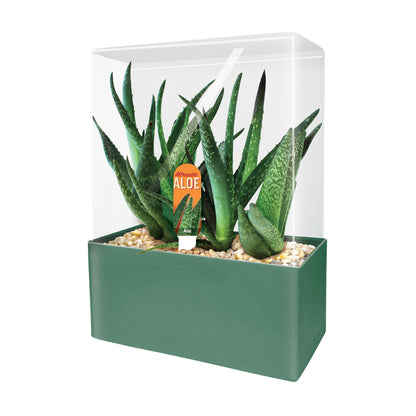 succulent seed kit Unique Gardener Altruistic Aloe Seed Square Terrarium Kit – Toys"R"Us