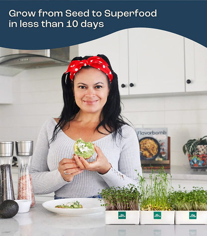 Urban Leaf Microgreen Starter Kit 2022 - Grow Fresh Anywhere