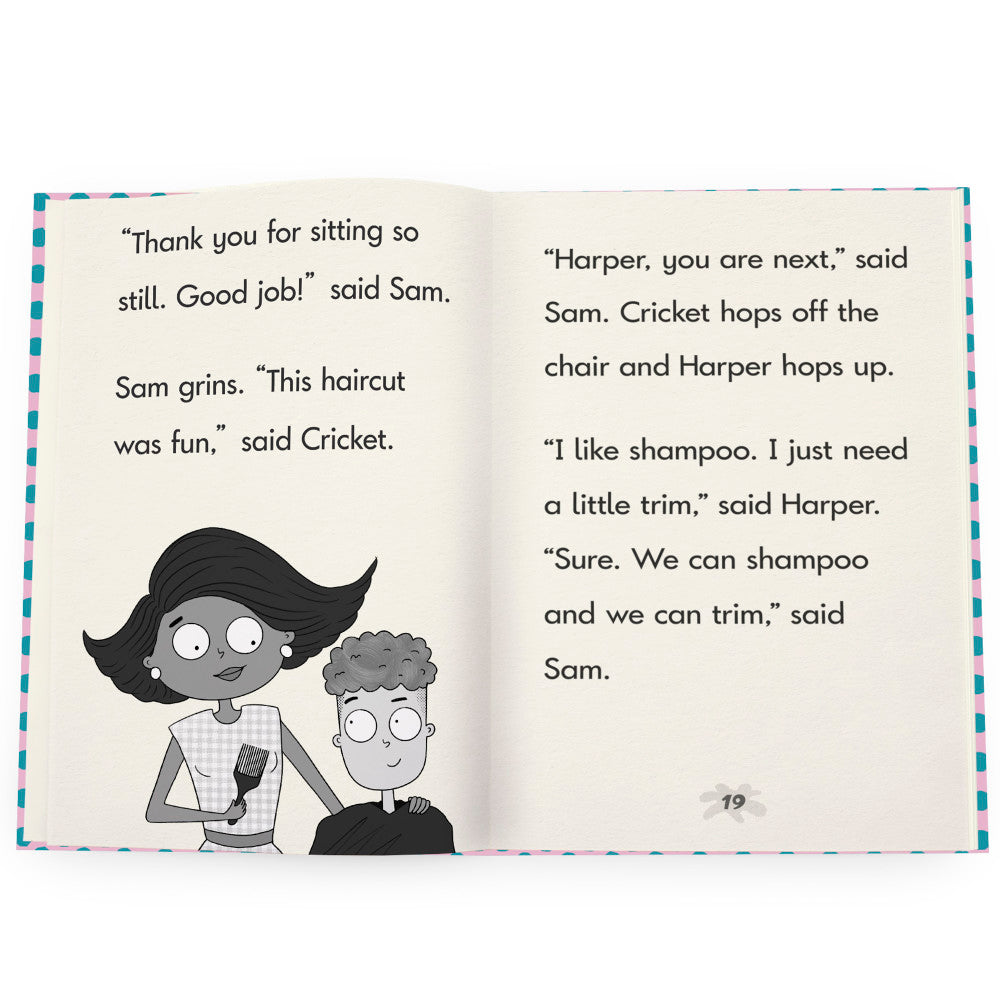 Junior Learning  Cricket the Kid Decodable Chapter Books, Boxed Set