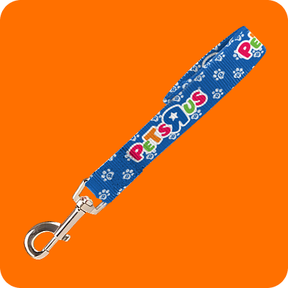 Pets r us blue pet leash
