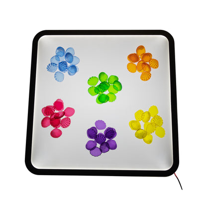 edxeducation Tactile Shells - Transparent - Mini Jar - Set of 72