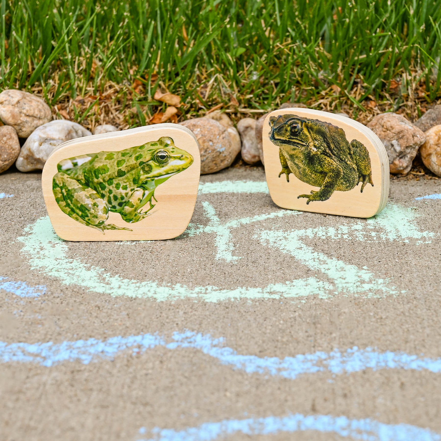 TickiT Wooden Reptile & Amphibian Blocks - 15-Piece Set