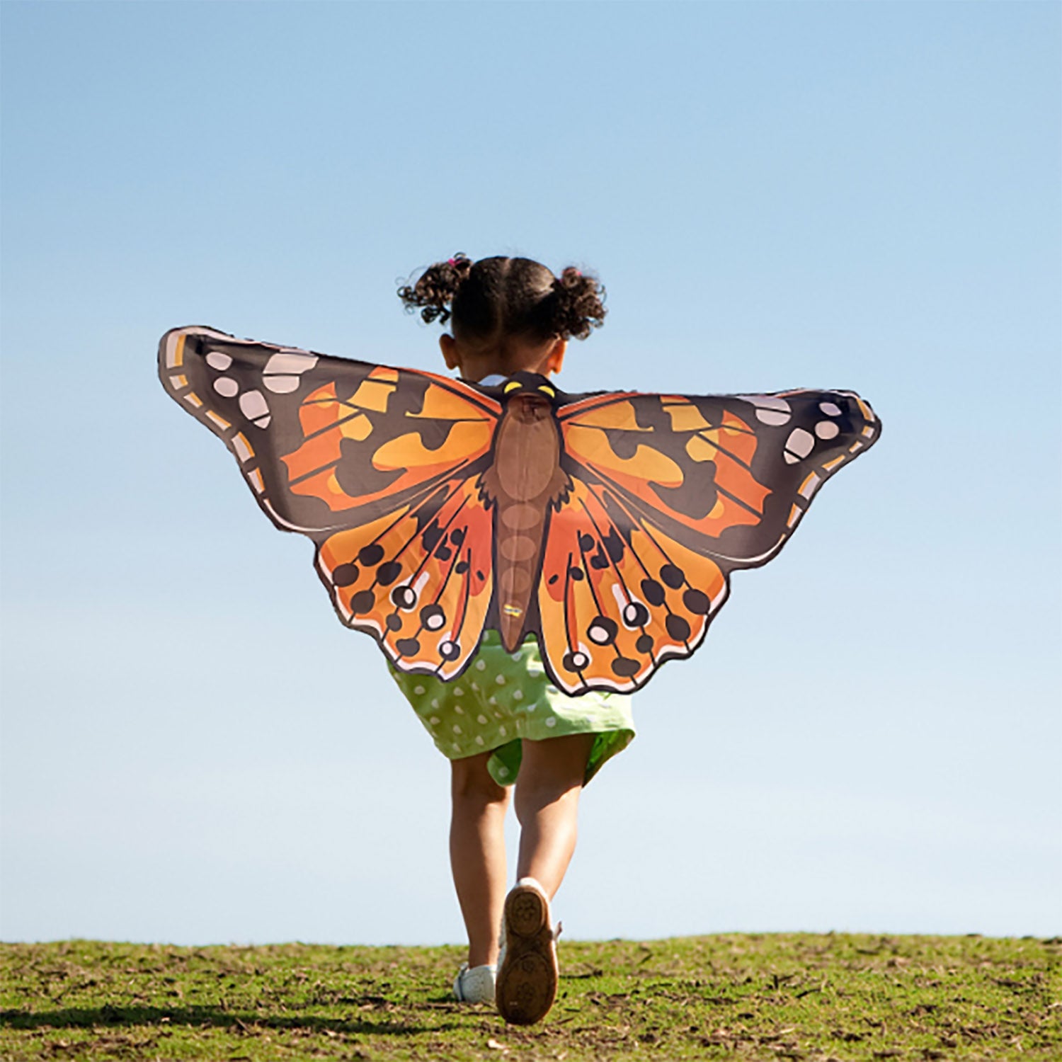 3/1専用 USOrg エルヴィス1st +UKOrg Butterfly 3/1専用 USOrg エルヴィス1st +UKOrg Butterfly 【公式通販】