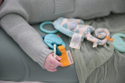 Dolce Sammy the Seahorse Interactive Teether - Blue