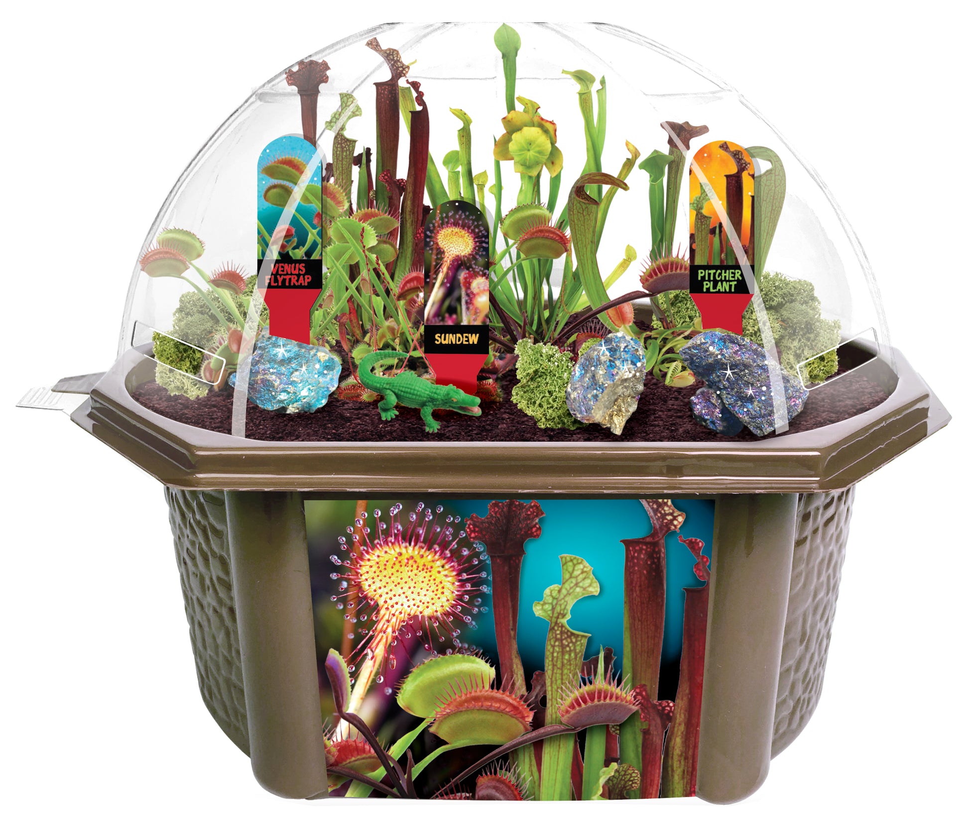 plant terrarium kits Toys By Nature Carnivorous Creatures Biosphere Terrarium Kit – Toys"R"Us