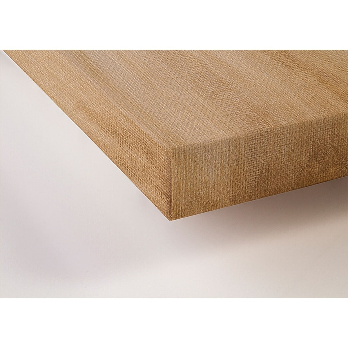 Sarah Lowe Oopsy Daisys Safari Kisses 10x14 Stretched Canvas Wall Art