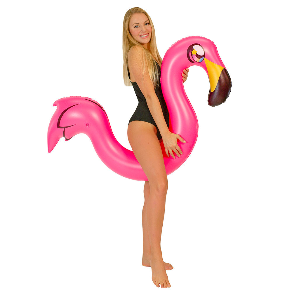 Flamingo Ride-On Noodle