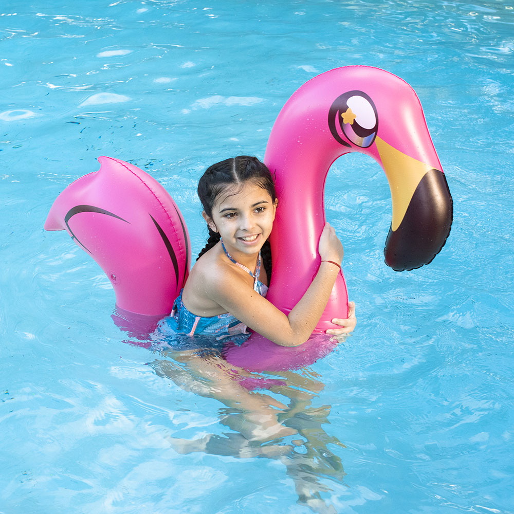 Flamingo Ride-On Noodle