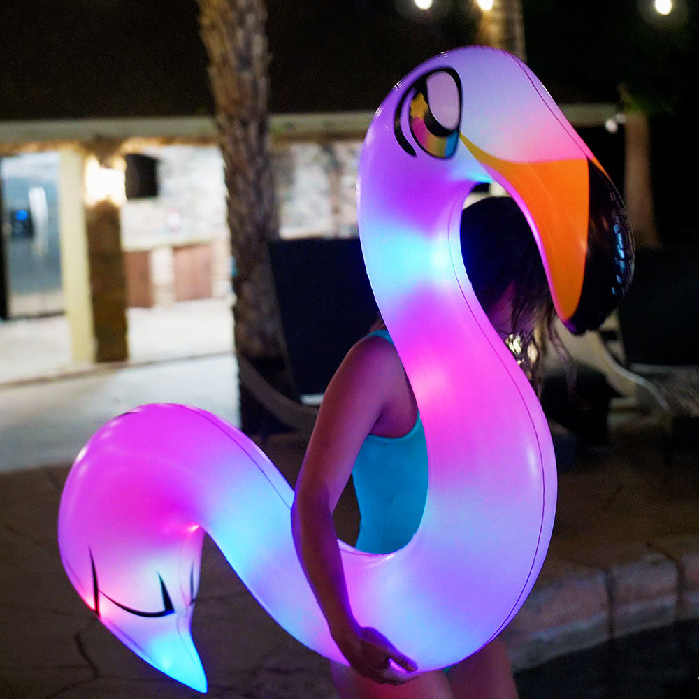 Illuminated LED Flamingo Ride-On Noodle
