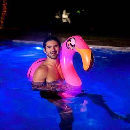 Illuminated LED Flamingo Ride-On Noodle