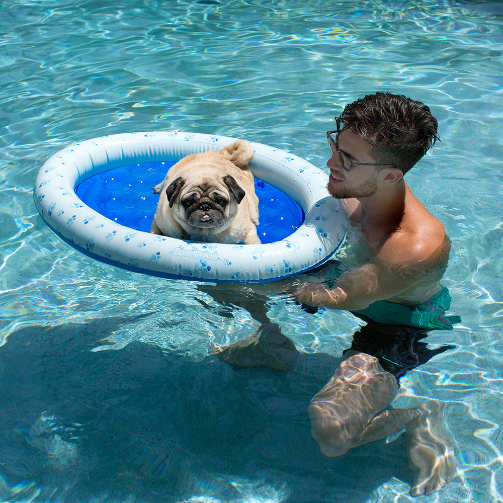 Inflatable Pet Float - Small Dog