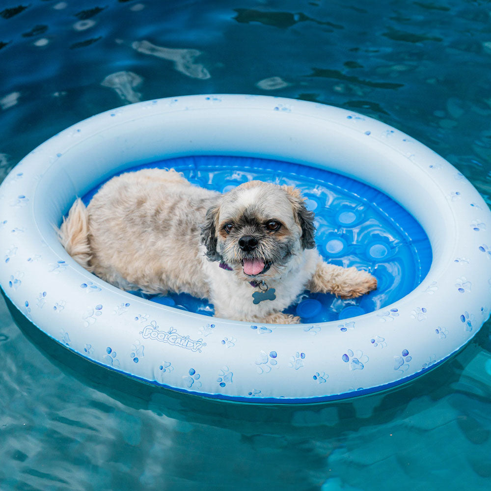 Inflatable Pet Float - Small Dog