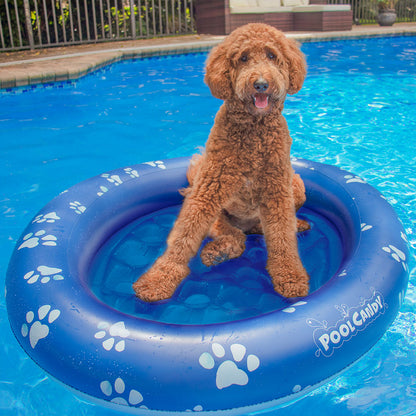 Inflatable Pet Float - Large Dog