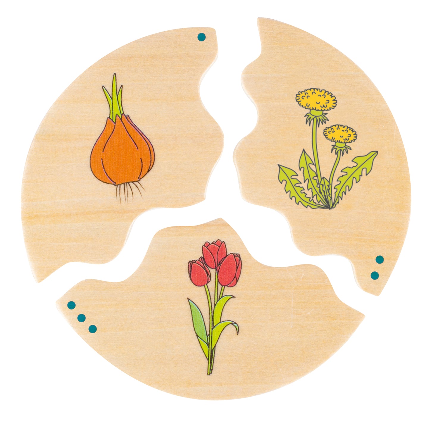 Beleduc Nawito 10-Pack Evolution Wooden Puzzles - 30 pc