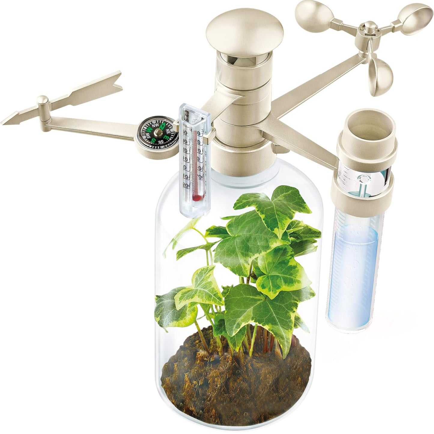 Green Science Weather Station with plant, compass, thermometer, and rain gauge