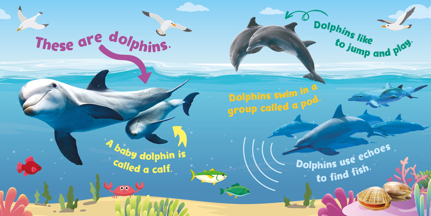 Ocean Discovery 5-Button Sound Board Book by Kidsbooks Publishing