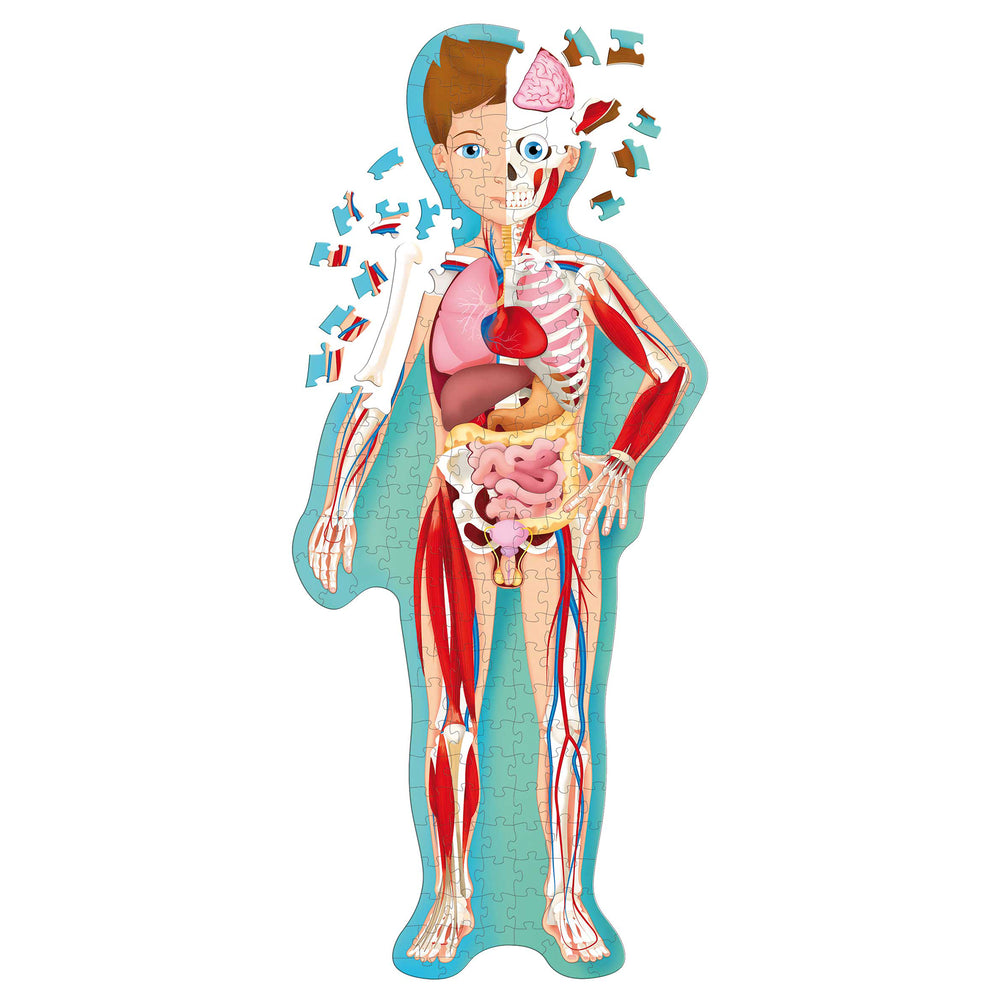 TLE: The Human Body