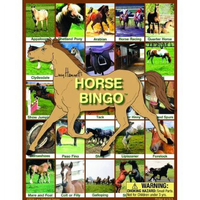 Equestrian Junior - Horse Bingo Game for Kids - Educational Playset