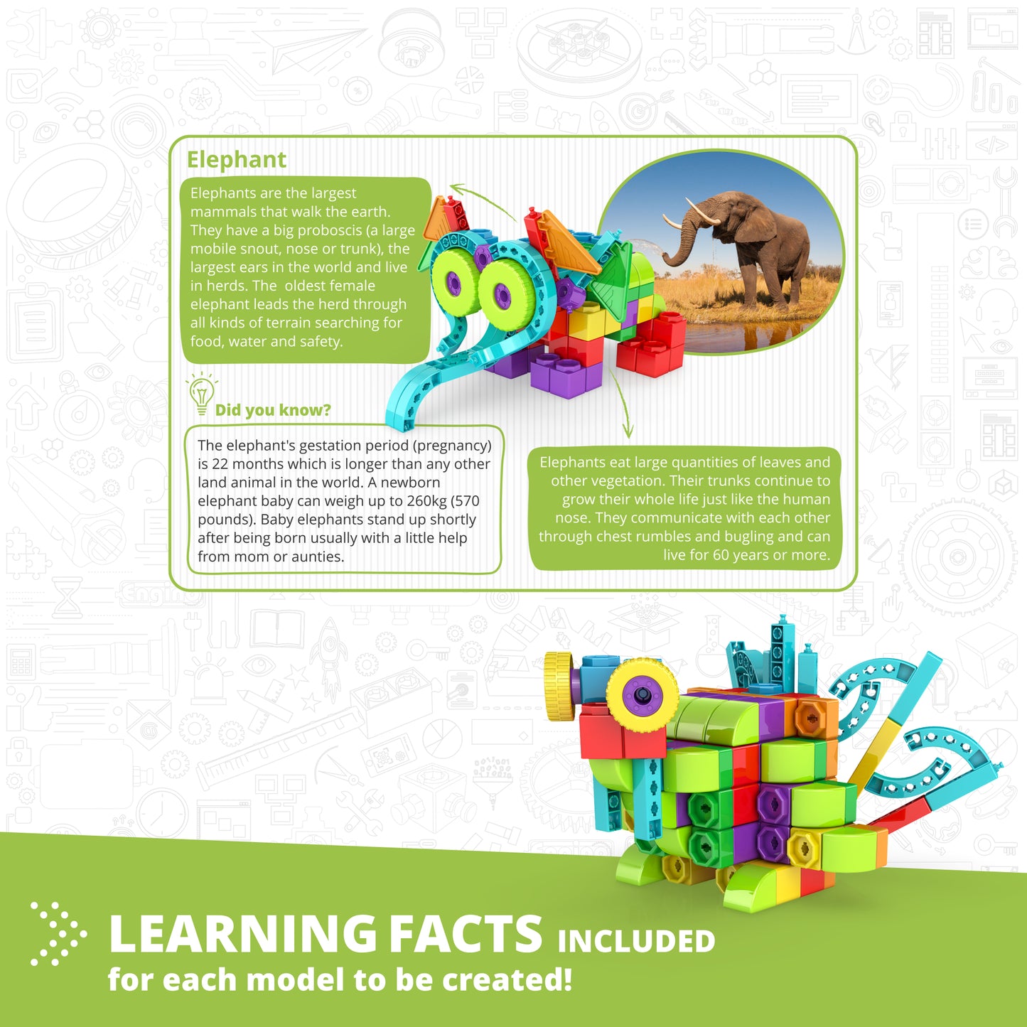 Engino Qboidz Elephant 11-in-1 Building Set for Kids 4+