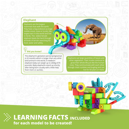 Engino Qboidz Elephant 11-in-1 Building Set for Kids 4+