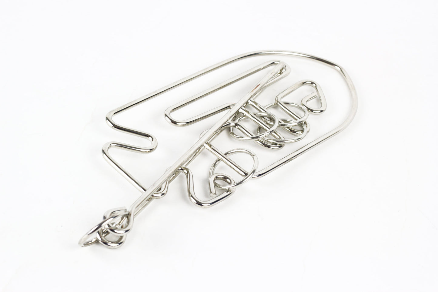 Professor Puzzle Einstein Collection Fish Metal Puzzle