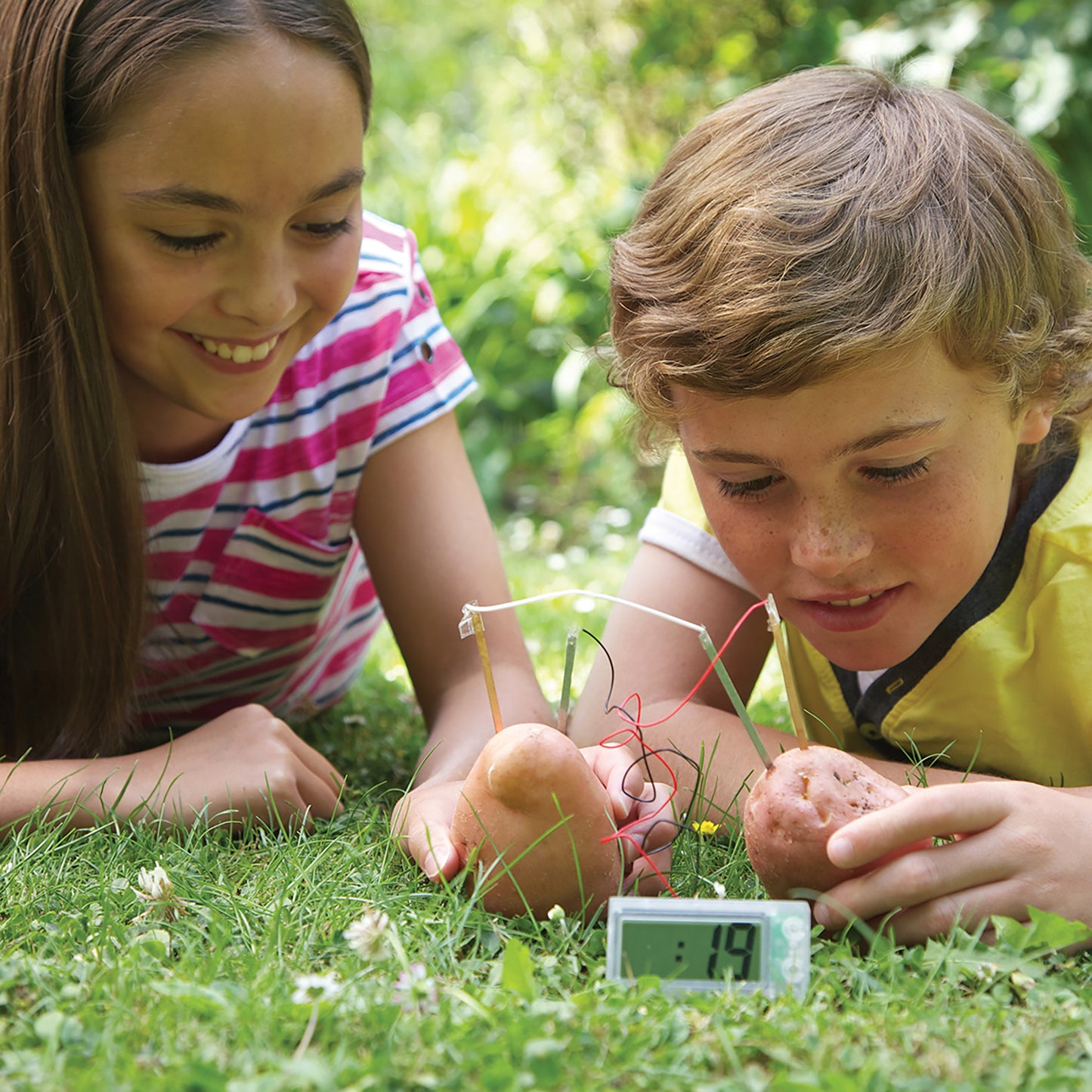 Green Science: Potato Clock
