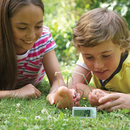 Green Science: Potato Clock