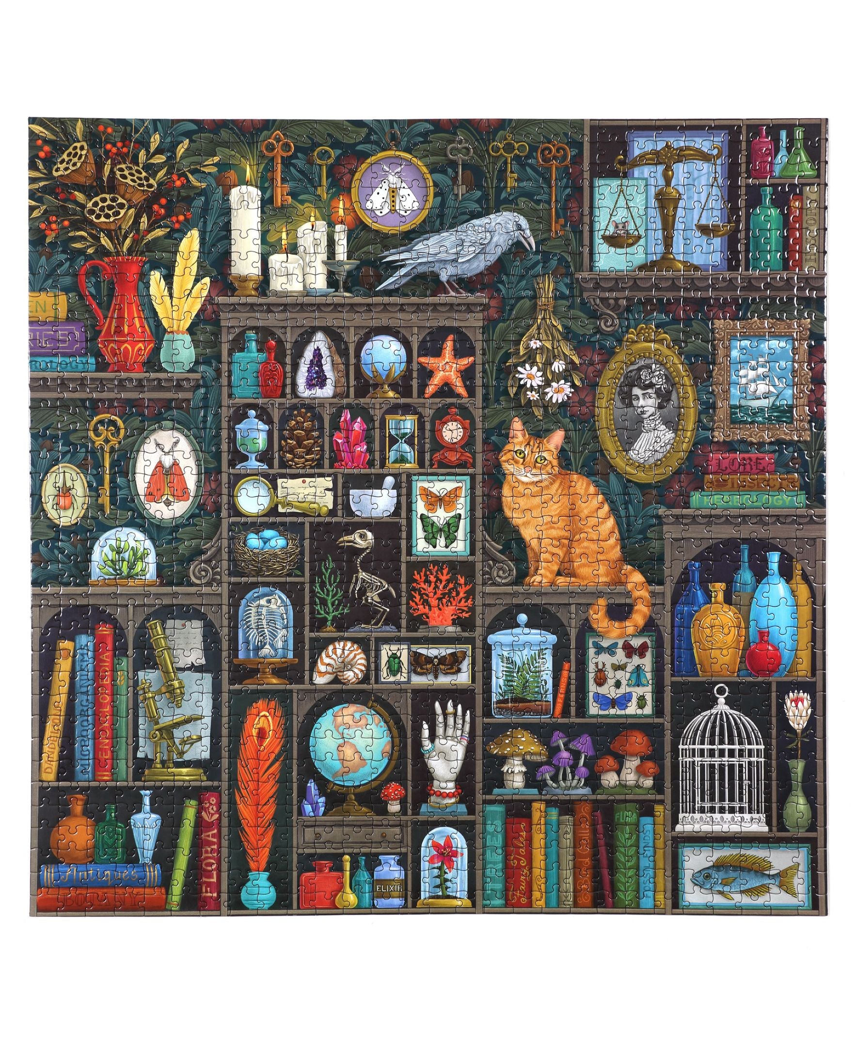 1000-piece jigsaw puzzle featuring an ornate cabinet filled with whimsical illustrations including an orange cat, mystical objects, vintage bottles, books, keys