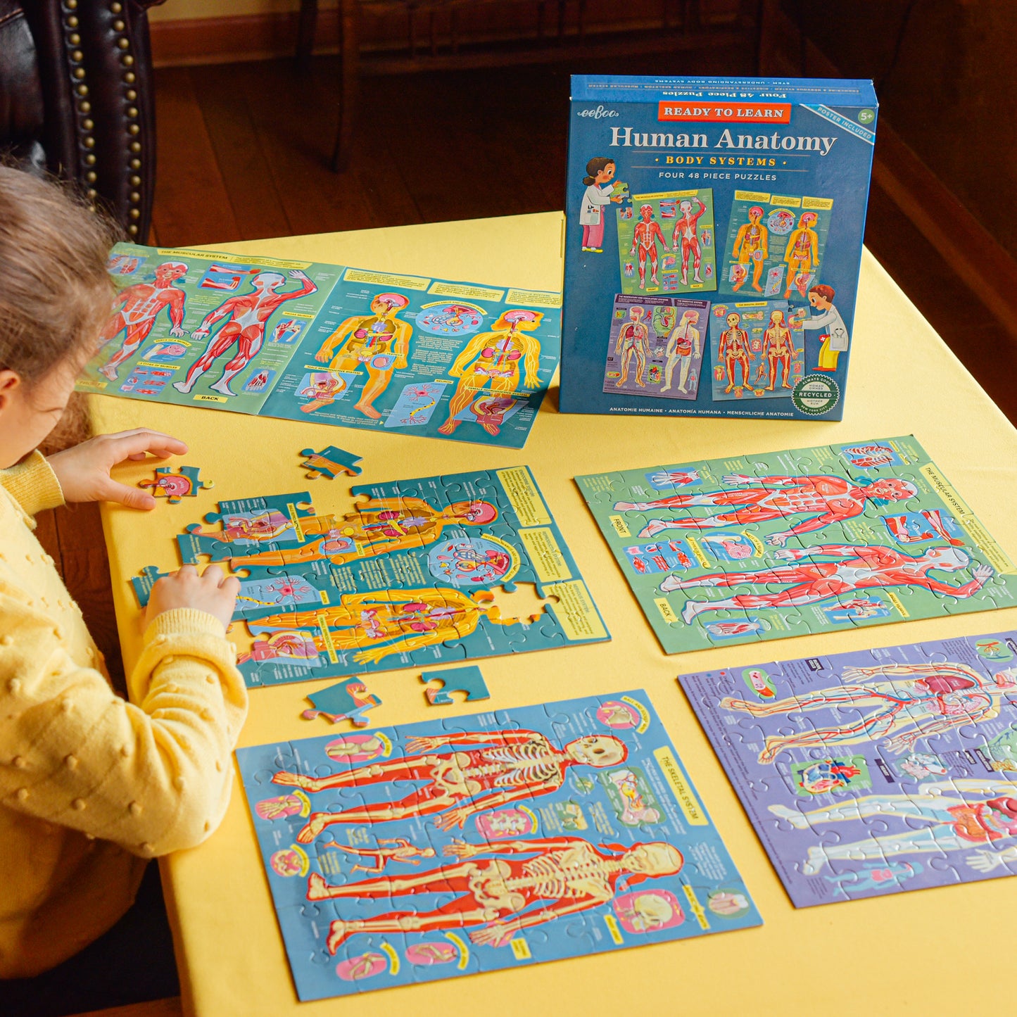 Anatomical Explorer 4-Pack Human Anatomy Jigsaw Puzzles - 48 pc Each