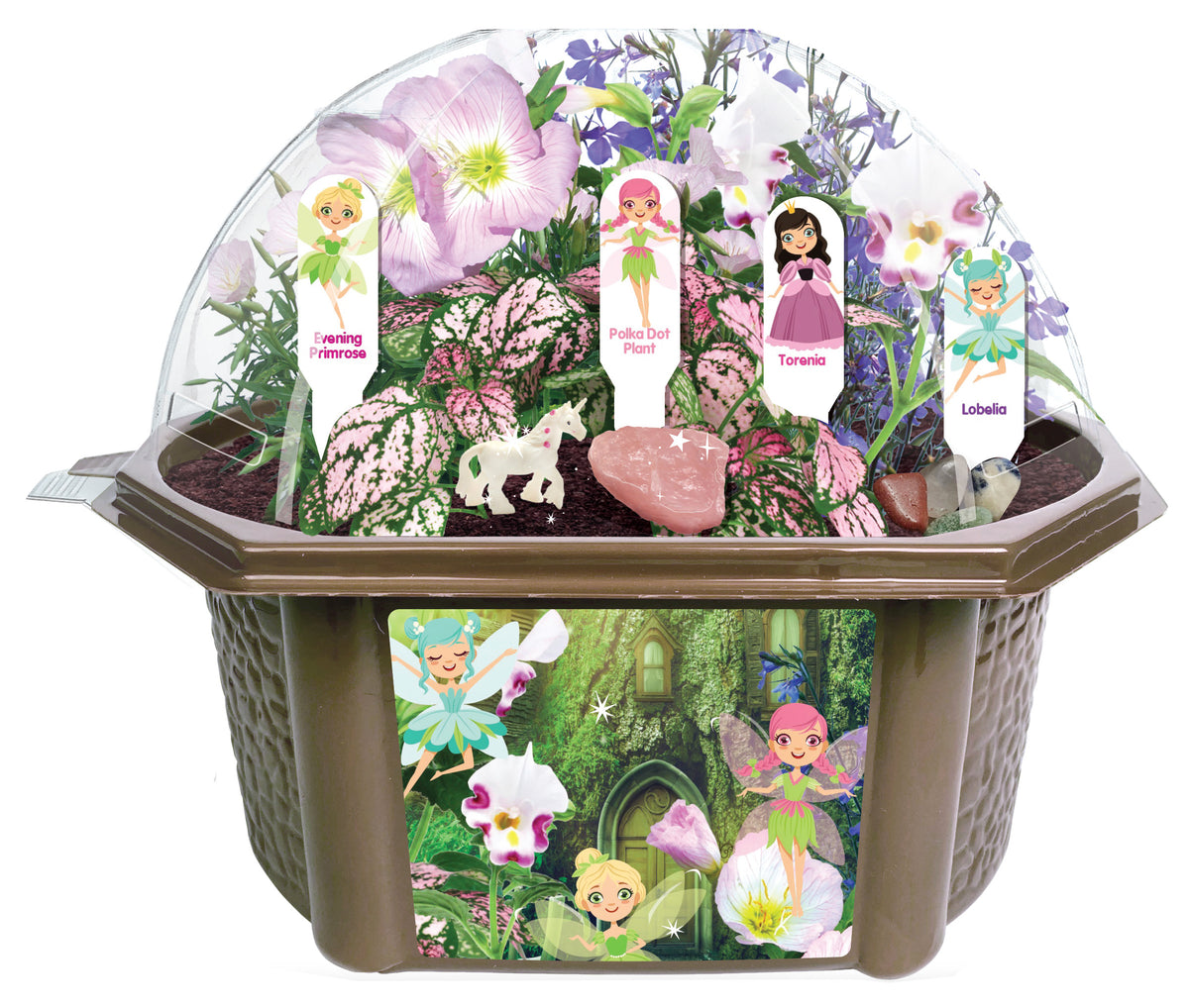 Enchanted Fairy Garden Biosphere terrarium kit with dome lid, featuring pink and purple flowers, fairy character labels, decorative stones, and plant seedlings