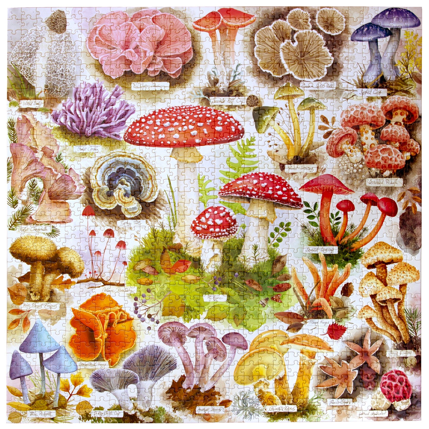 Piece&Love Bountiful Mushrooms 1000 pc Puzzle with colorful illustrated mushrooms and fungi in red, purple, orange an...