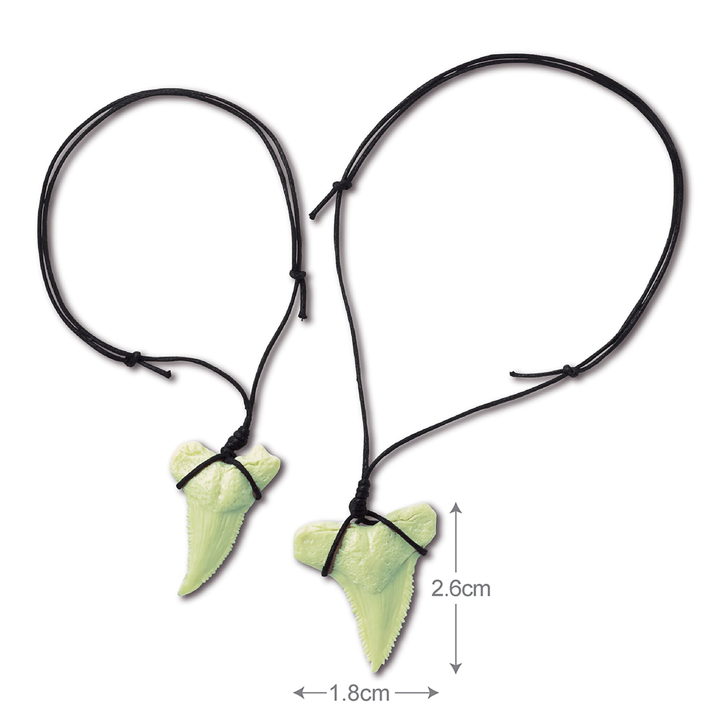 KidzLabs Glow-in-the-Dark Shark Tooth Fossil Digging Kit