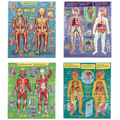 Anatomical Explorer 4-Pack Human Anatomy Jigsaw Puzzles - 48 pc Each