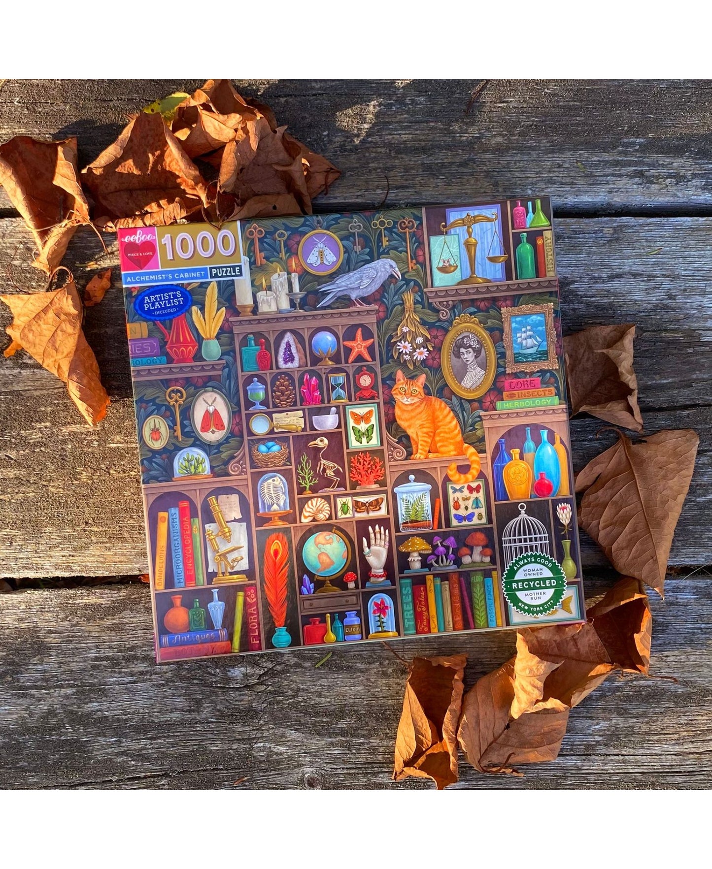eeBoo Piece and Love Alchemist Cabinet Academia-Inspired Puzzle - 1000 pc